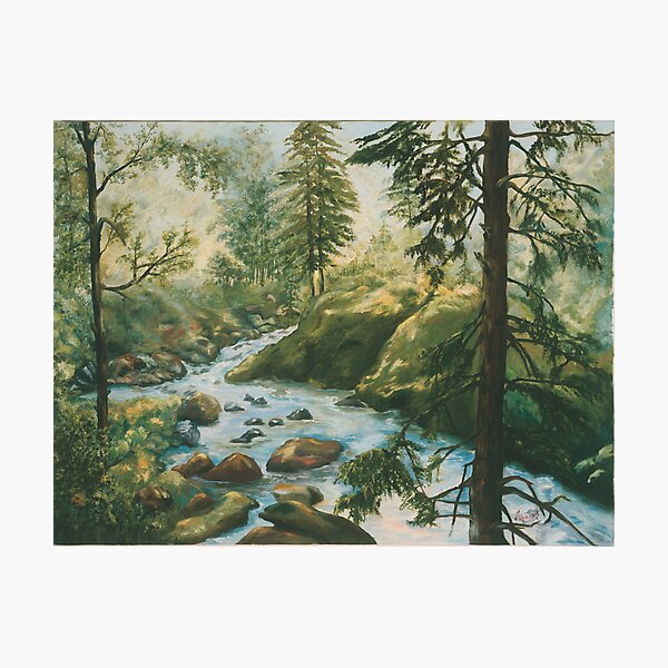 Adirondack Stream Photographic Print