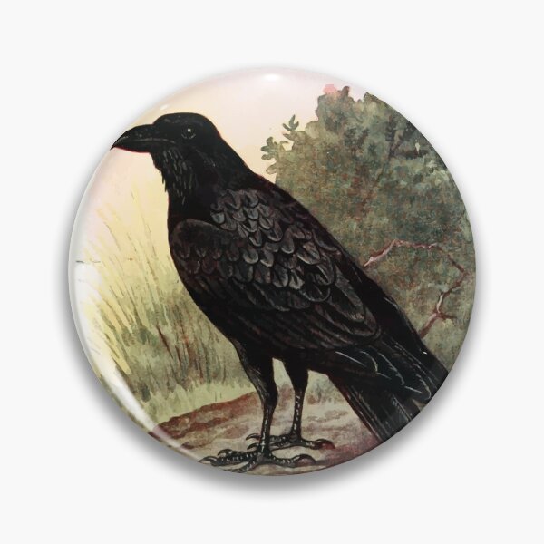 Item preview, Raven Illustration designed and sold by EcoscienceArt.