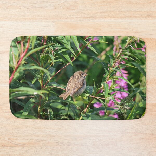 Item preview, Sparrow fledgling designed and sold by GreyFeatherPhot.
