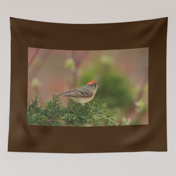 Item preview, Showing Off The Red Crown designed and sold by Deb Oppermann.