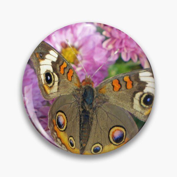 Item preview, Common Buckeye Butterfly designed and sold by Frankie Cat Photography.