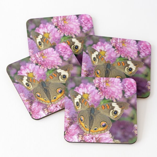 Item preview, Common Buckeye Butterfly designed and sold by Frankie Cat Photography.