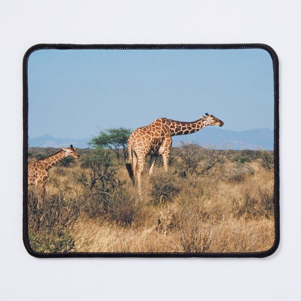 Item preview, 1970s - Giraffes in South Africa designed and sold by thatwaslife.