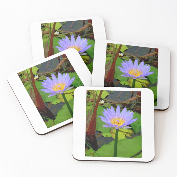 Item preview, Water Lilly Cooroibah, QLD, 2. designed and sold by Angela Gannicott.