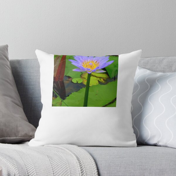 Item preview, Water Lilly Cooroibah, QLD, 2. designed and sold by Angela Gannicott.