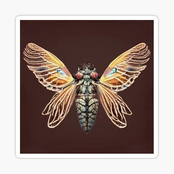 Set of 3 Prints: Victorian Insect 