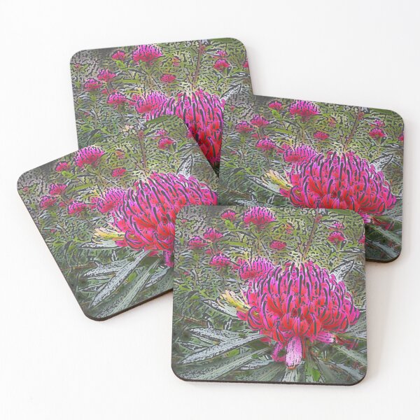 Item preview, Waratah (Telopea), NSW, Australia designed and sold by Cobargo South Coast.