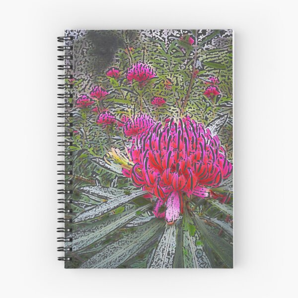 Item preview, Waratah (Telopea), NSW, Australia designed and sold by Cobargo South Coast.