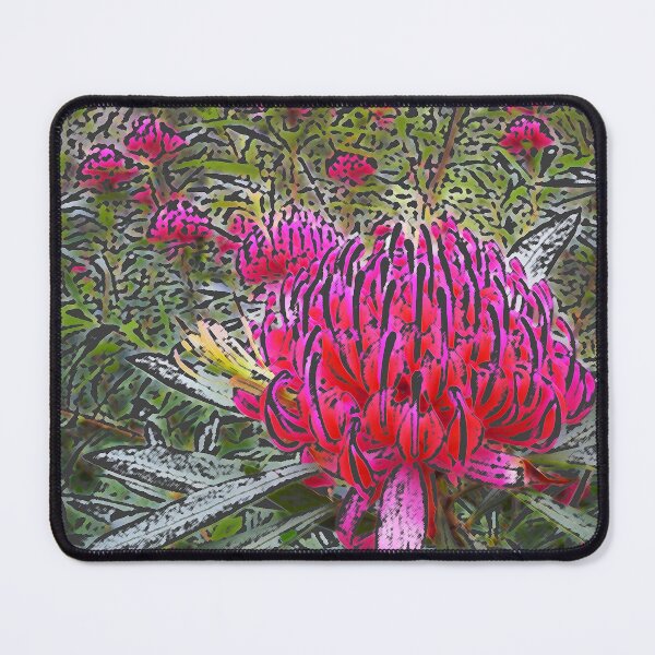 Item preview, Waratah (Telopea), NSW, Australia designed and sold by Cobargo South Coast.