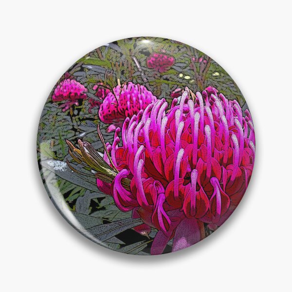 Item preview, Waratah (Telopea), NSW, Australia designed and sold by Cobargo South Coast.