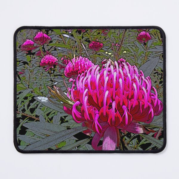 Item preview, Waratah (Telopea), NSW, Australia designed and sold by Cobargo South Coast.