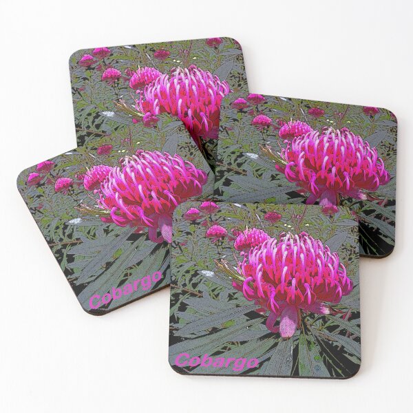 Item preview, Waratah (Telopea), NSW, Australia designed and sold by Cobargo South Coast.