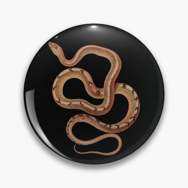 Item preview, Cuban Racer Snake | Vintage Wildlife Art Print | Snake Enthusiast | Perfect for Nature and Reptile Lovers | Herpetology designed and sold by WadeLestat.