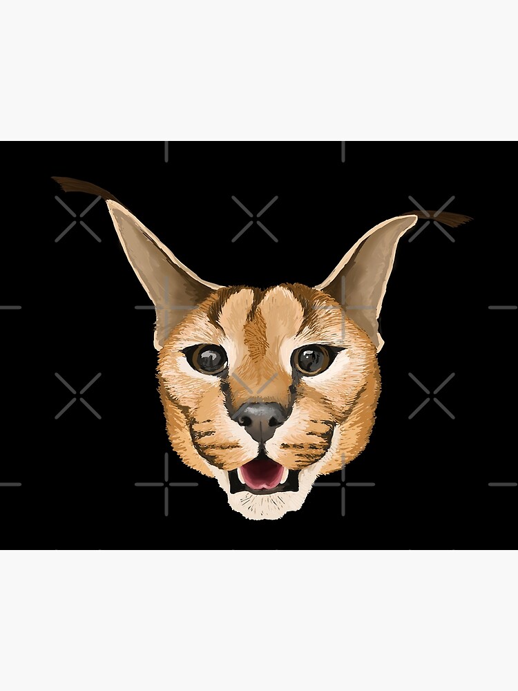 FLOPPA CAT \ CARACALS / GOOD AT MATH Art Board Print for Sale by Mad-Boy