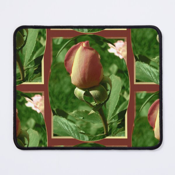 Item preview, Pink and Yellow Summer Rosebud designed and sold by csturman.