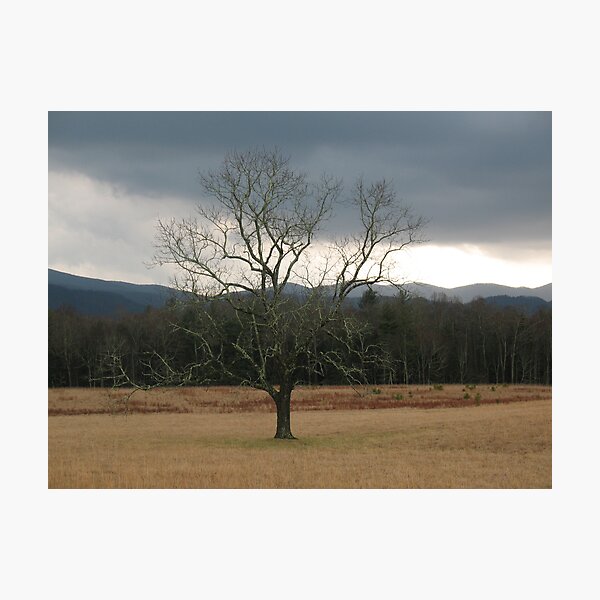 Item preview, Lonely designed and sold by Dan Casey Campbell.