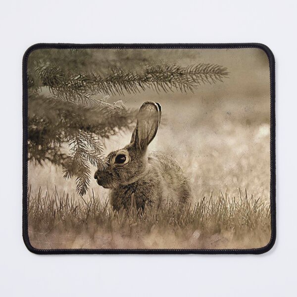 Item preview, Spruce Bunny designed and sold by seventySIXart&photo .