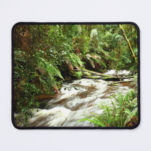 Item preview, Long Exposure at the Rainforest in Tasmania designed and sold by AussieAl.