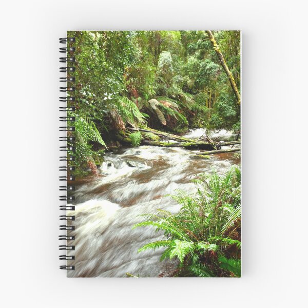 Item preview, Long Exposure at the Rainforest in Tasmania designed and sold by AussieAl.