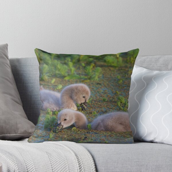 Item preview, Cuteness Overload designed and sold by byronbackyard.