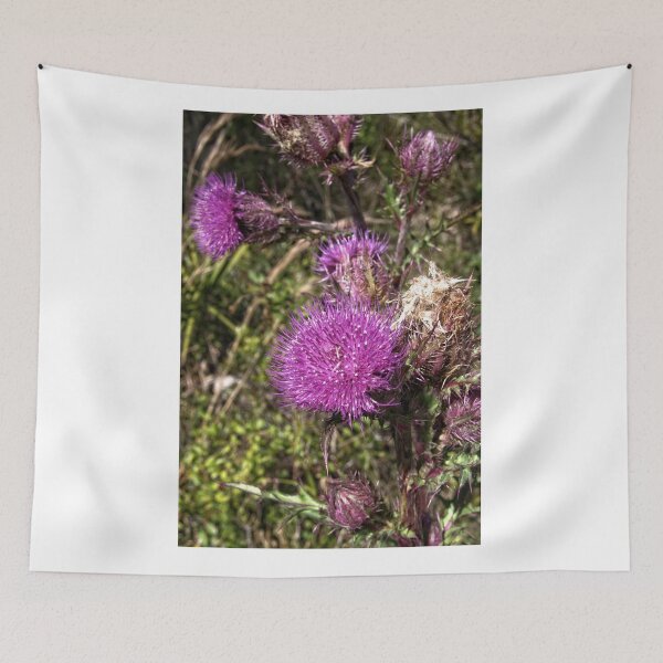 Item preview, Purple Thistle 2 - Florida designed and sold by jtrommer.