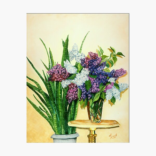 Lilacs II Photographic Print