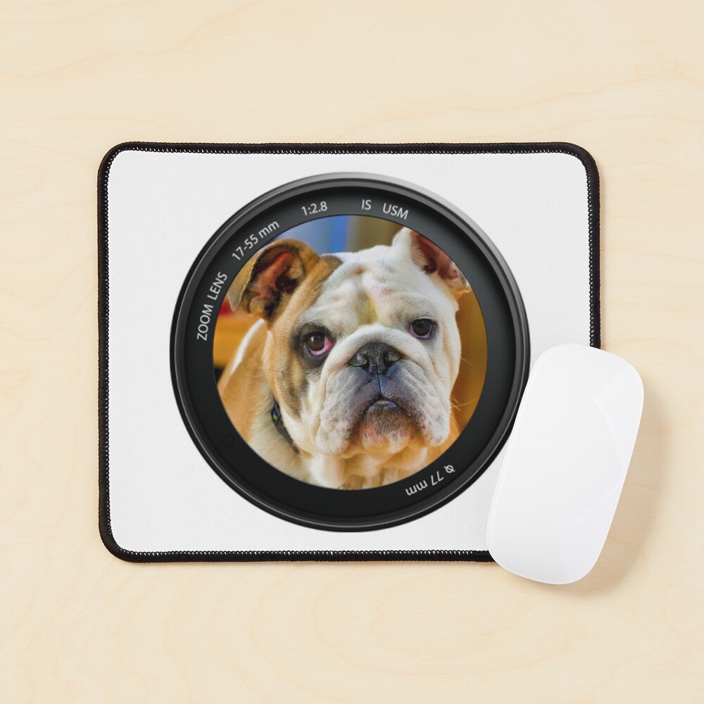 bulldog camera