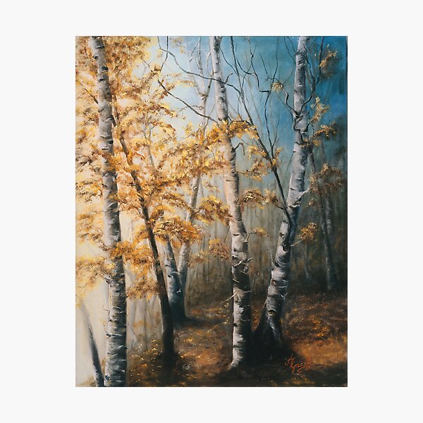 Morning Mist Photographic Print