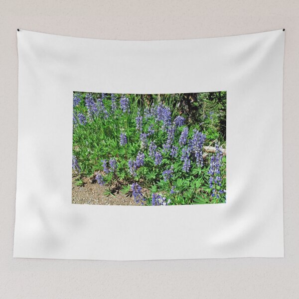 Item preview, Silvery Lupine 1 - Washington State designed and sold by jtrommer.