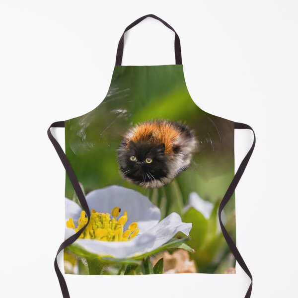 Item preview, Fluffy bumblebee cat designed and sold by koty-vezde.