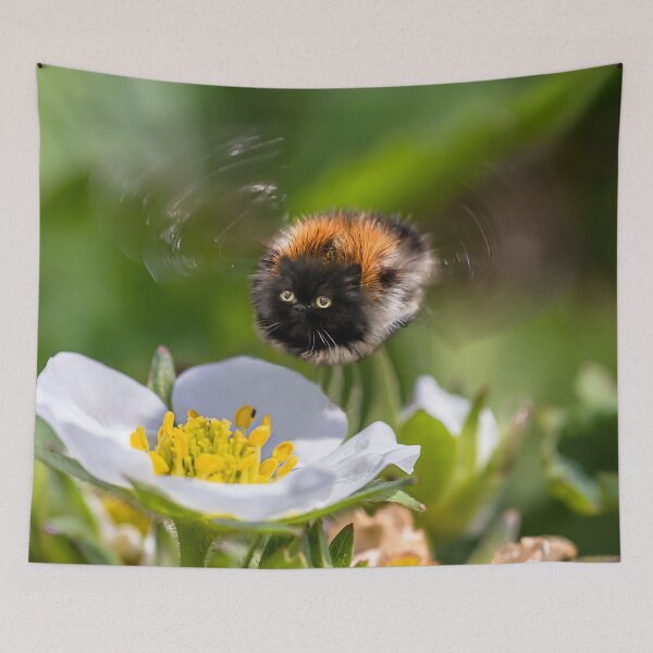 Item preview, Fluffy bumblebee cat designed and sold by koty-vezde.