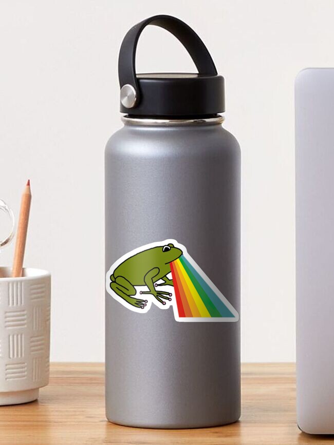 Green Frog Rainbow Water Bottle