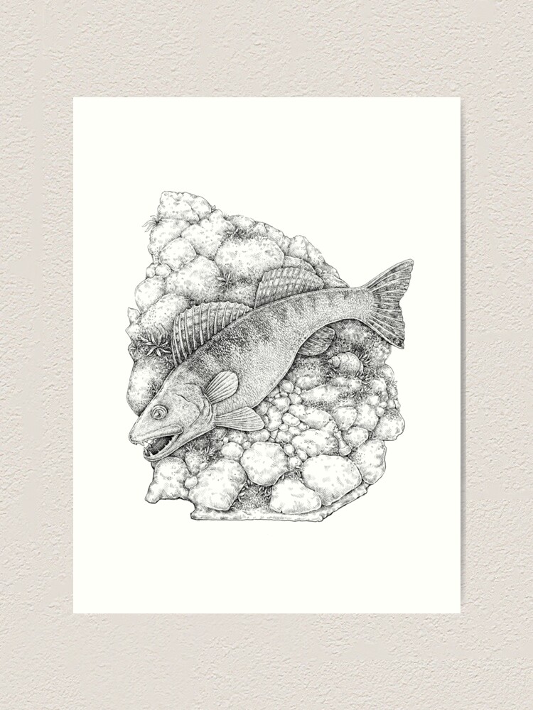 Zander The King Fish Chess Series Art Print By Solveigeugenia Redbubble