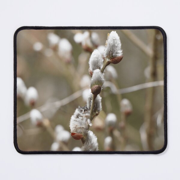 Item preview, Fluffy cat on a willow designed and sold by koty-vezde.
