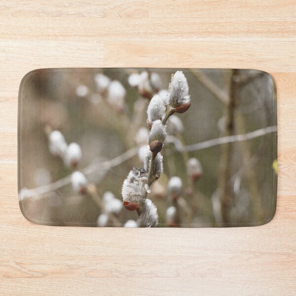 Item preview, Fluffy cat on a willow designed and sold by koty-vezde.