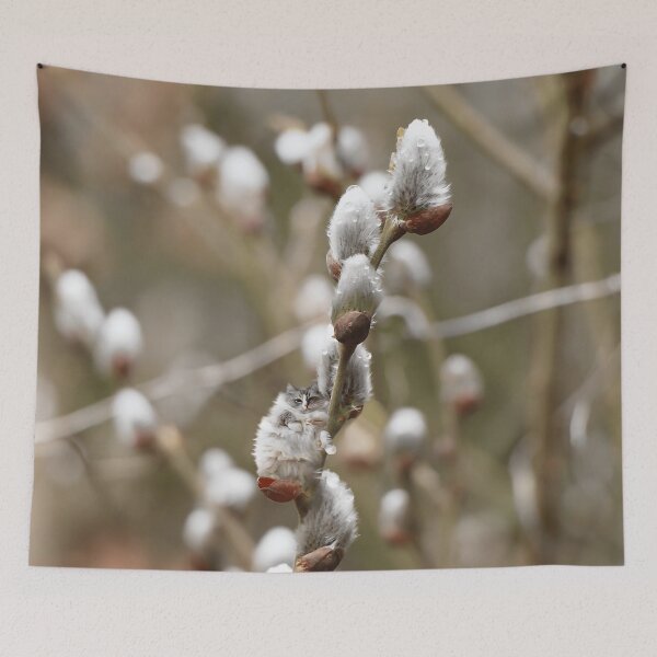Item preview, Fluffy cat on a willow designed and sold by koty-vezde.