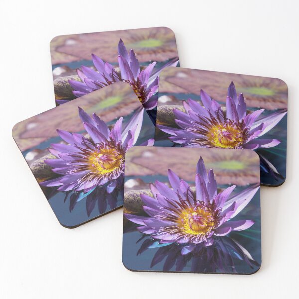 Item preview, Purple Water Lily designed and sold by Robert Armendariz.