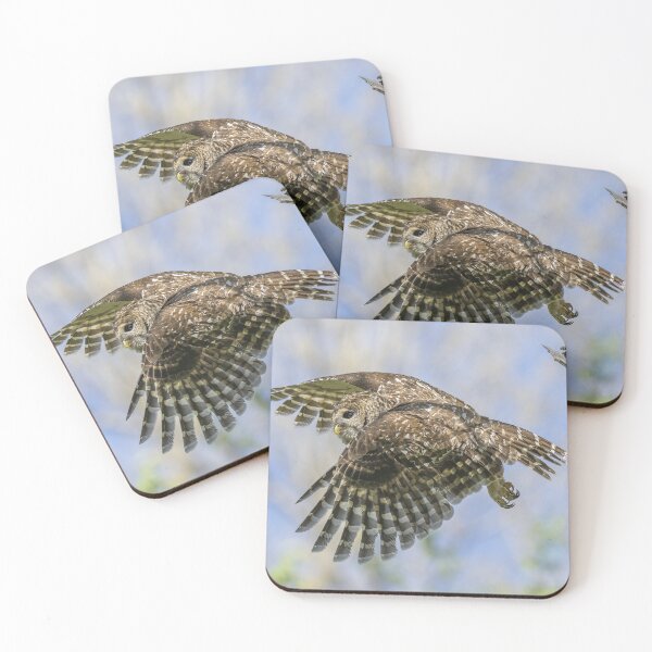 Item preview, Mama Barred owl Getting Out designed and sold by Puttaswamy Ravishankar.