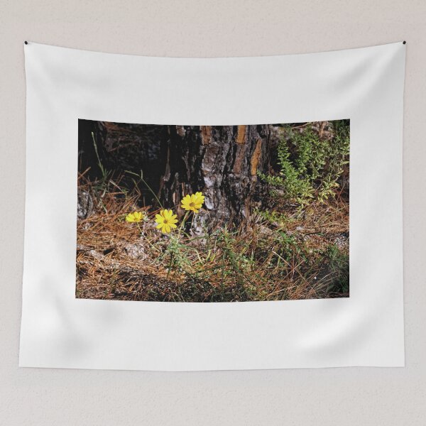 Item preview, Narrow Leaf Sunflower 1 - Florida designed and sold by jtrommer.
