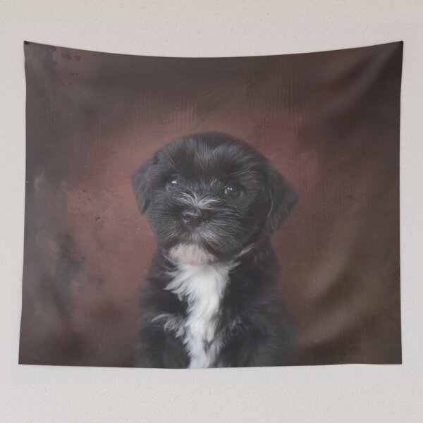 Item preview, Havanese Dog 01 designed and sold by Elisabeth Lucas.