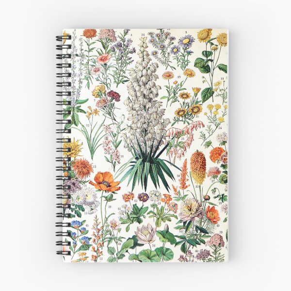Item preview, Adolphe Millot - Fleurs B - French vintage poster designed and sold by Gardenlibrary.