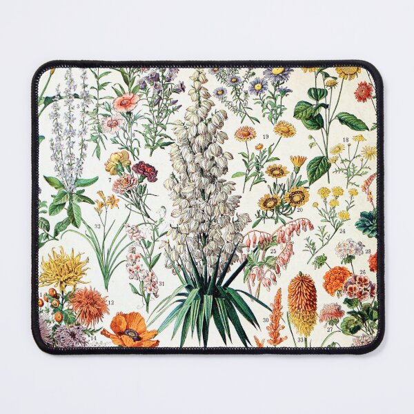 Item preview, Adolphe Millot - Fleurs B - French vintage poster designed and sold by Gardenlibrary.