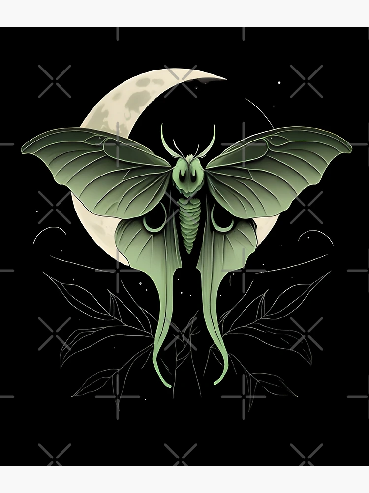 Luna moth | Poster