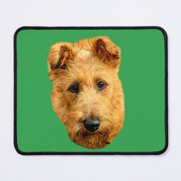 Item preview, Irish Terrier designed and sold by Dalyndigital Photography.