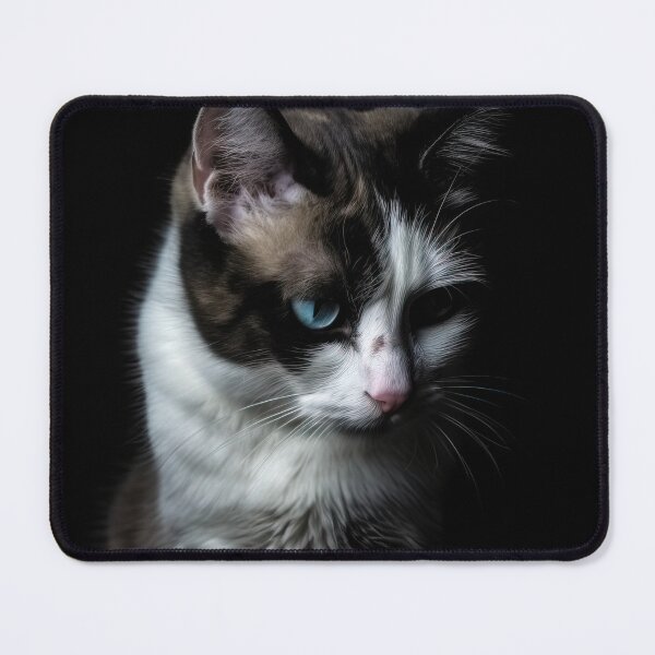 Item preview, Azura, the cute cat lady with blue eyes designed and sold by Pixelboys.
