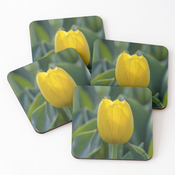 Item preview, Yellow tulip macro designed and sold by pietrofoto.