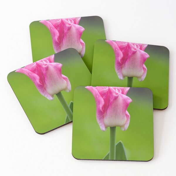Item preview, Pink tulip macro designed and sold by pietrofoto.