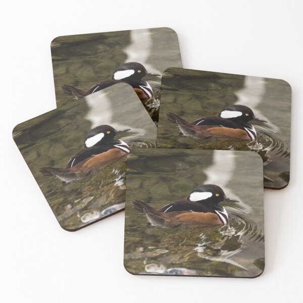Item preview, Adorable Hooded Merganser Duck on Glossy Ripples designed and sold by Georgia Mizuleva.