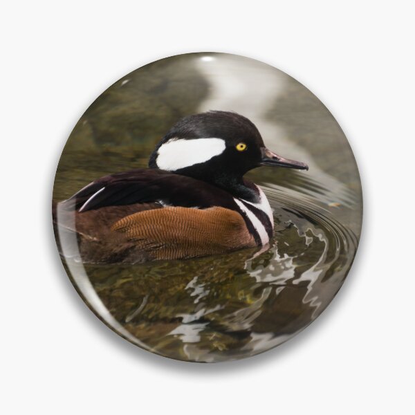 Item preview, Adorable Hooded Merganser Duck on Glossy Ripples designed and sold by Georgia Mizuleva.