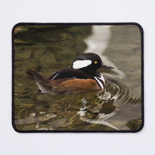 Item preview, Adorable Hooded Merganser Duck on Glossy Ripples designed and sold by Georgia Mizuleva.